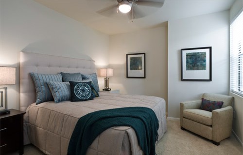 Gallery Picture